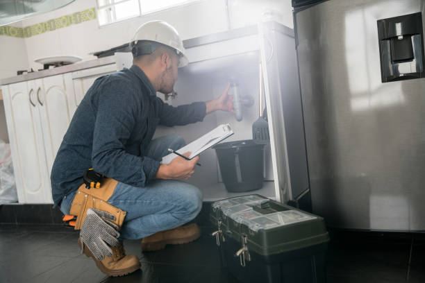 Best Plumbing Inspection Services  in Paisley, FL